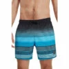 Speedo Placement Leisure 16" Black Swim Shorts